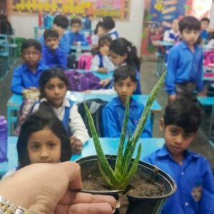 Introduction of Plants