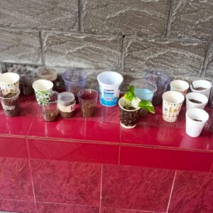 Growing a Seed
